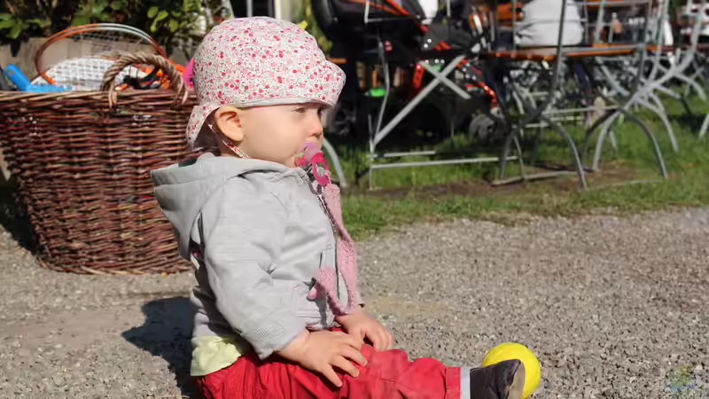 Userbild von Sven Demand von Sven Demand (7)