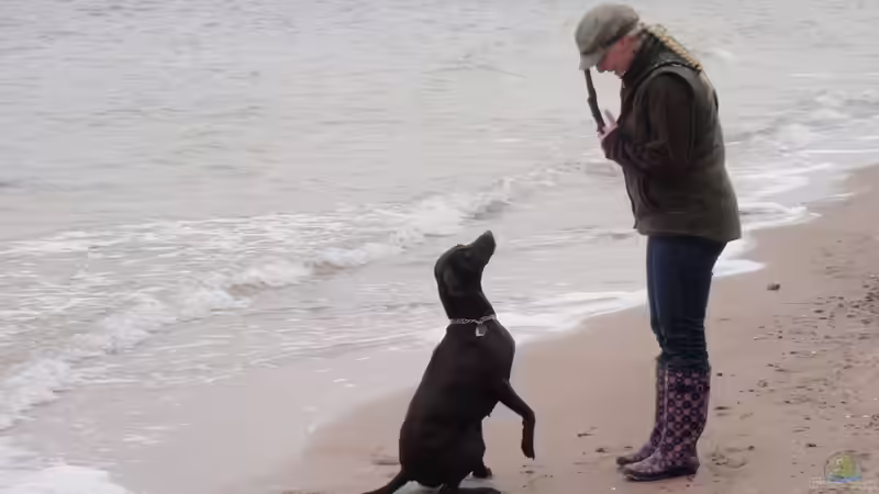 Userbild von Svenja Zeidler von Svenja Zeidler (25)