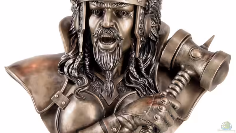 Userbild von T H O R von T H O R (36)