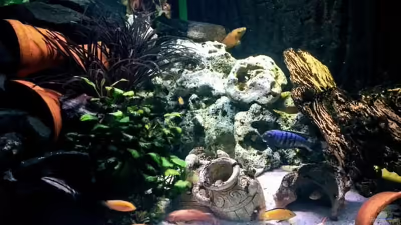 Userbild von Tabea Frey von Tabea Frey (9)