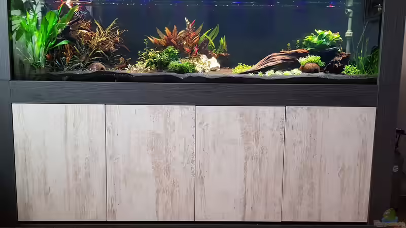 Userbild von Tabu von Tabu (25)