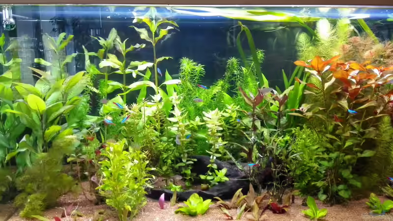 Userbild von tanino von tanino (3)