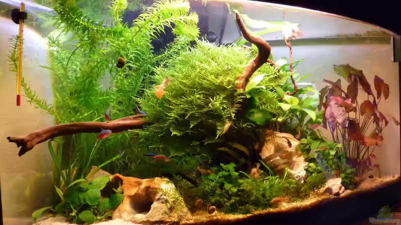 Userbild von tanja4 von tanja4 (21)