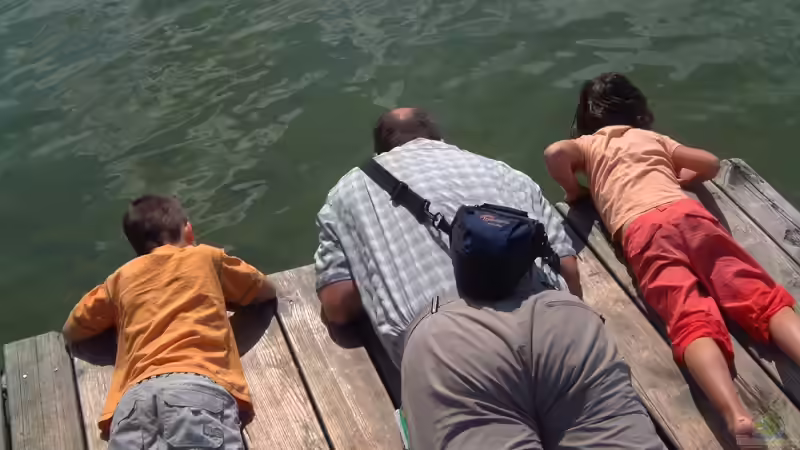 Userbild von TetraMike von TetraMike (35)