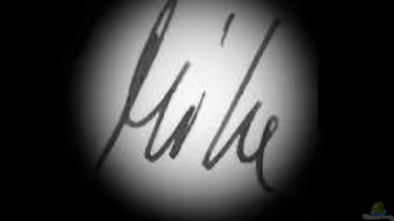 Userbild von The_Lizardking von The_Lizardking (45)