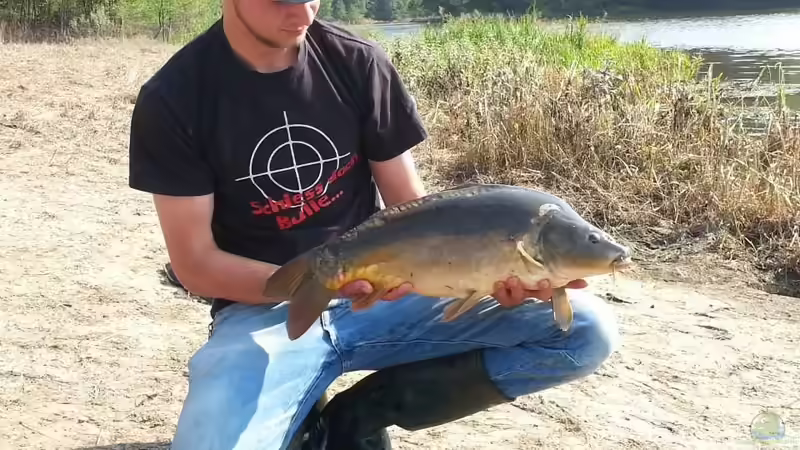 Userbild von Theo Heimann von Theo Heimann (18)