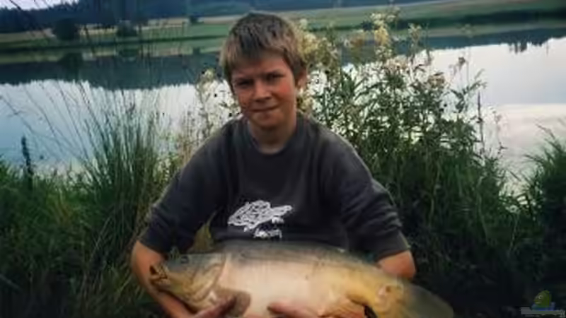 Userbild von Theo Heimann von Theo Heimann (20)