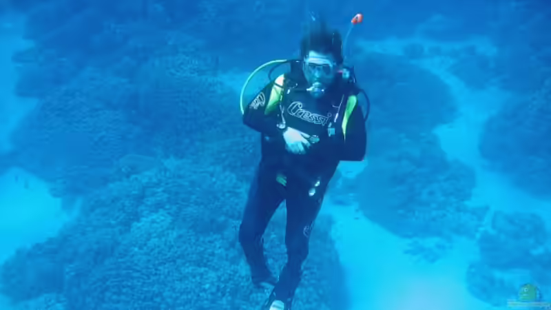 Userbild von Thomas D. von Thomas D. (10)