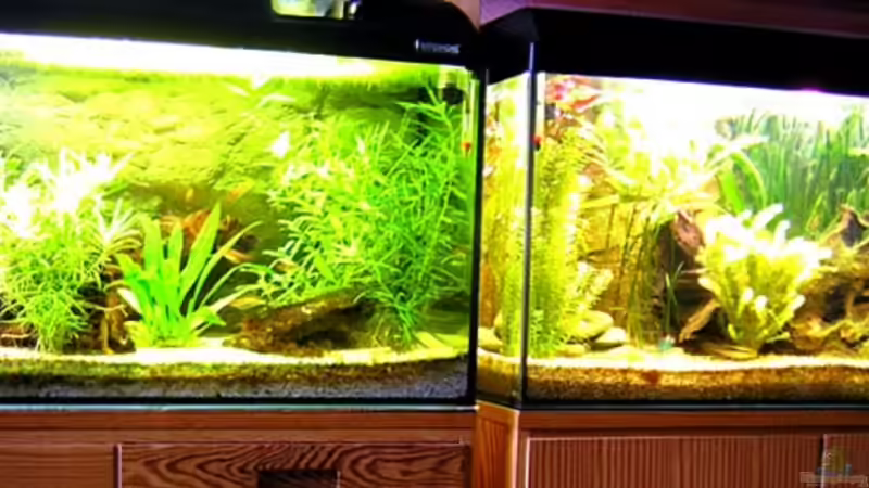 Userbild von Thomas Gläsel von Thomas Gläsel (13)