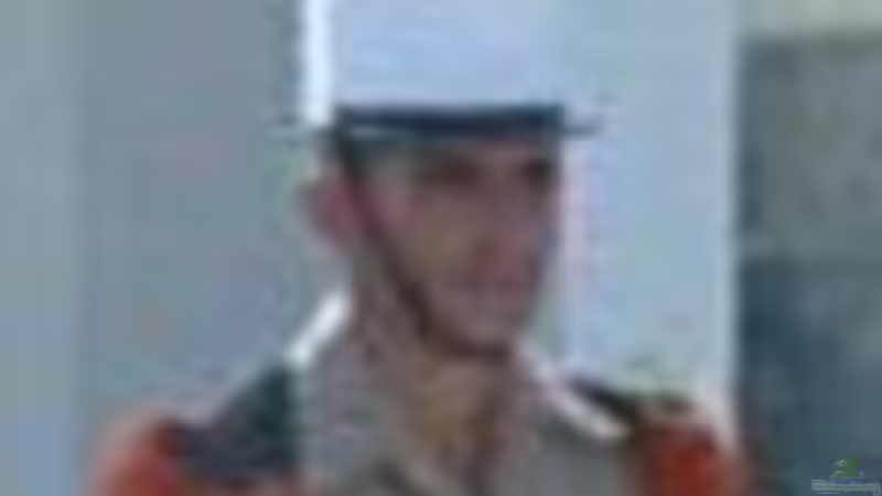 Userbild von Thomas Hilsberg von Thomas Hilsberg (24)