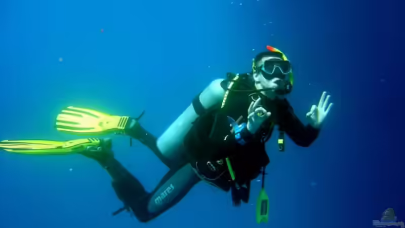 Userbild von Thomas Höppner von Thomas Höppner (20)