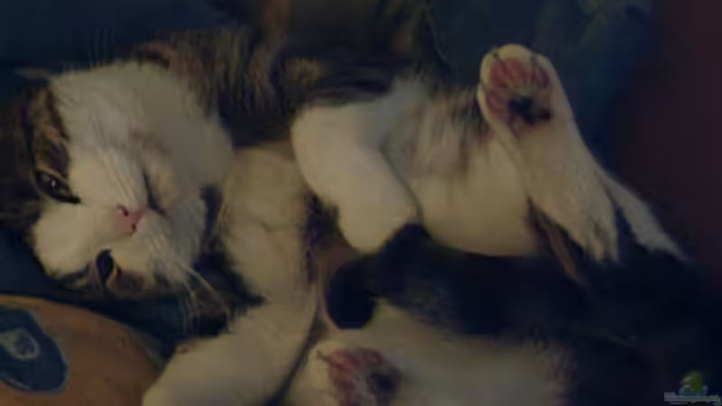 Userbild von Thomas-Jörg Prütz von Thomas-Jörg Prütz (11)