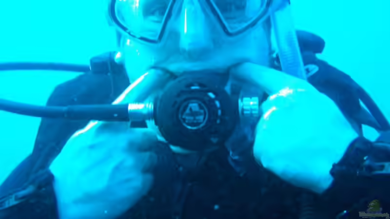 Userbild von Thomas Rengier von Thomas Rengier (24)