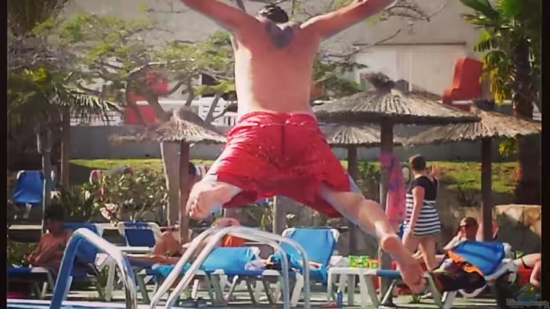 Userbild von Thomas Riemenschneider von Thomas Riemenschneider (51)