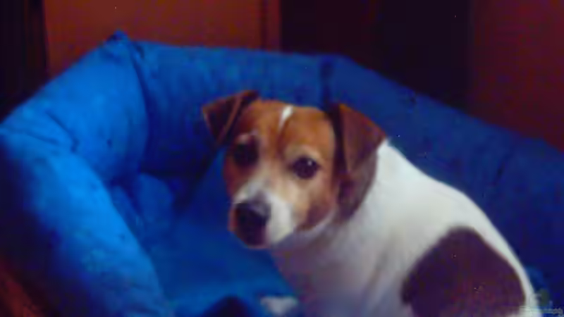 Userbild von Thomas Schmidt von Thomas Schmidt (34)