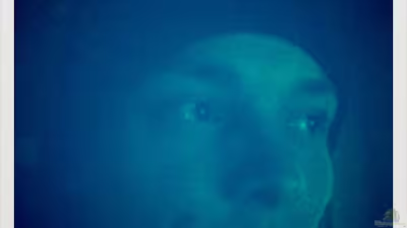 Userbild von Thomas Schneider von Thomas Schneider (16)