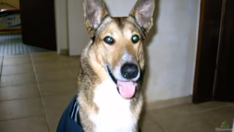 Userbild von Thomas u. Gabriele P. von Thomas u. Gabriele P. (78)