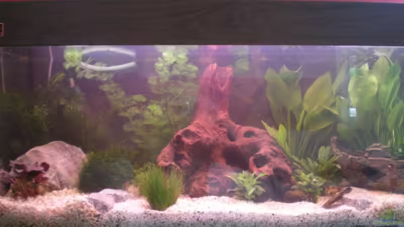 Userbild von Thomas Weißleder von Thomas Weißleder (32)