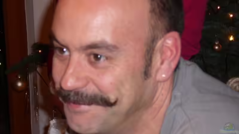 Userbild von Thomas Zehren von Thomas Zehren (13)