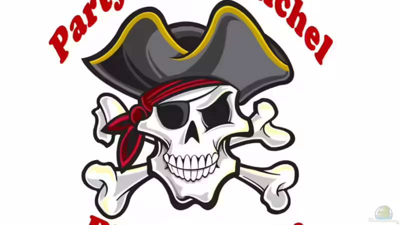 Userbild von Thomas38 von Thomas38 (15)