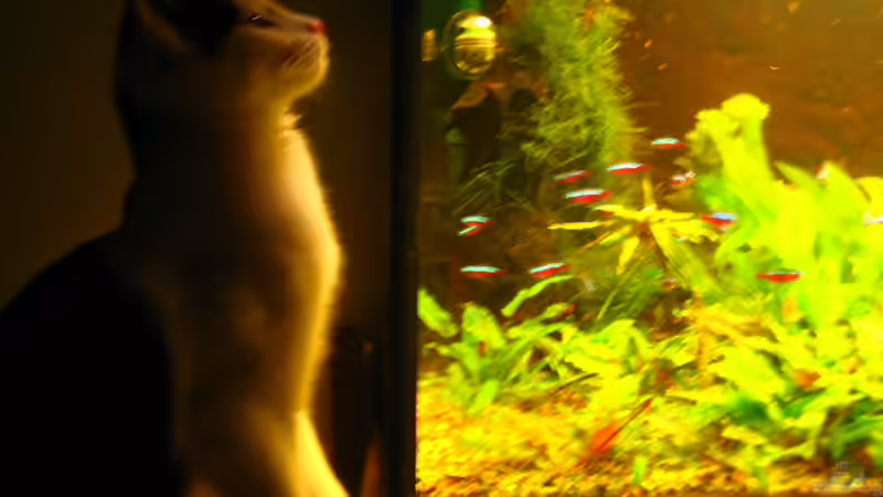 Userbild von Thorbenhendrik von Thorbenhendrik (35)