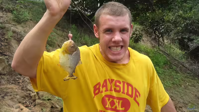 Userbild von Tiburón von Tiburón (65)