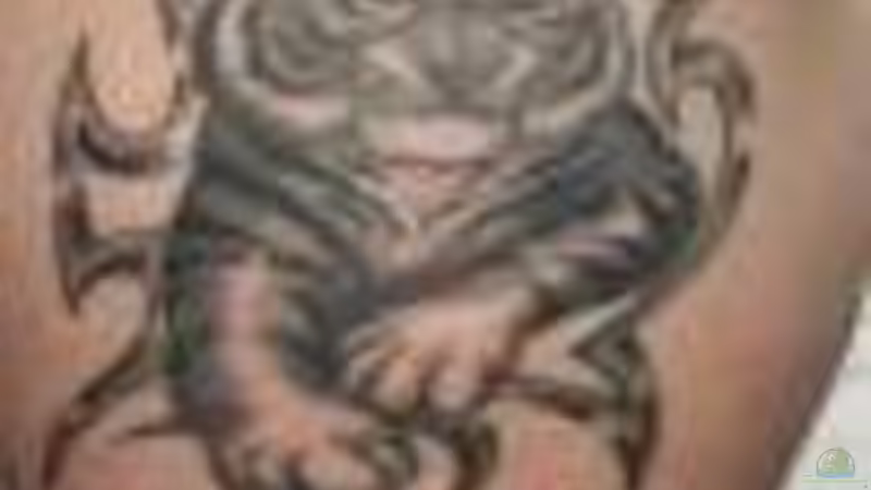 Userbild von Tiger1309 von Tiger1309 (5)