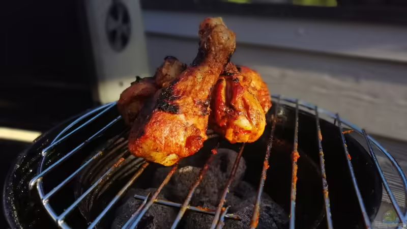 Userbild von Tim Buktu von Tim Buktu (11)