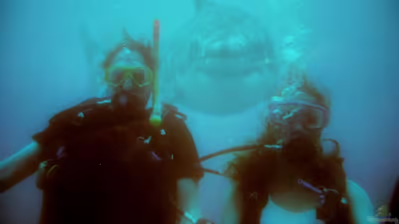 Userbild von Tim Burow von Tim Burow (32)