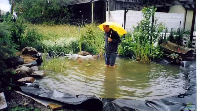 Userbild von timme von timme (37)