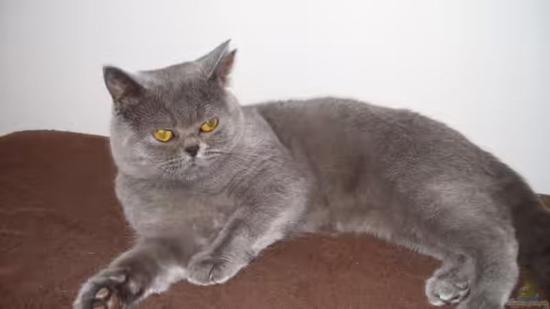 Userbild von Titan von Titan (16)