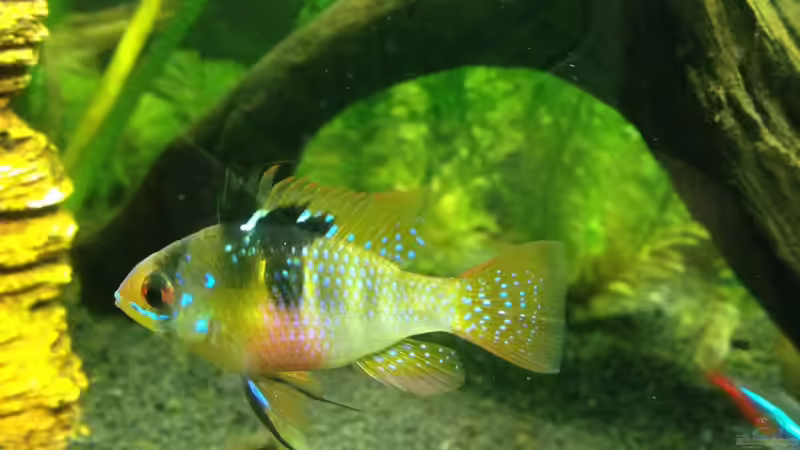 Userbild von Tobias Frank von Tobias Frank (10)