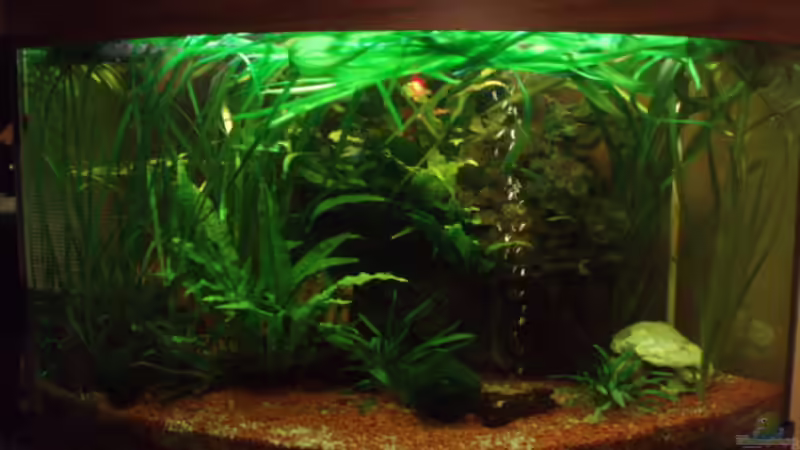 Userbild von Tobias Lips von Tobias Lips (7)