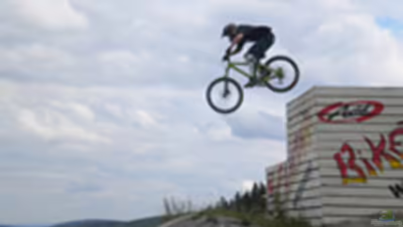 Userbild von Tobias Weber von Tobias Weber (9)