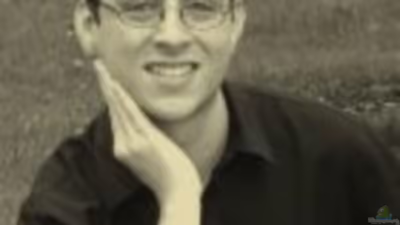 Userbild von Tobias Zimpel von Tobias Zimpel (20)