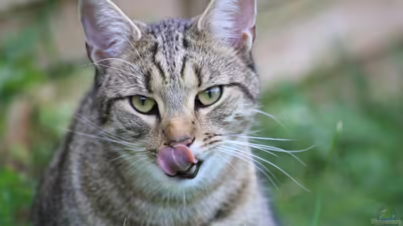 Userbild von tolschy von tolschy (16)