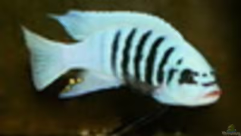 Userbild von Tommy&Hanny von Tommy&Hanny (14)