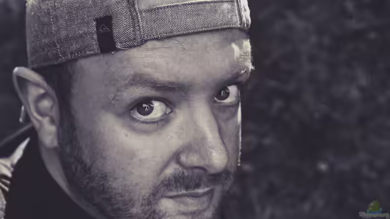 Userbild von TommyR von TommyR (37)