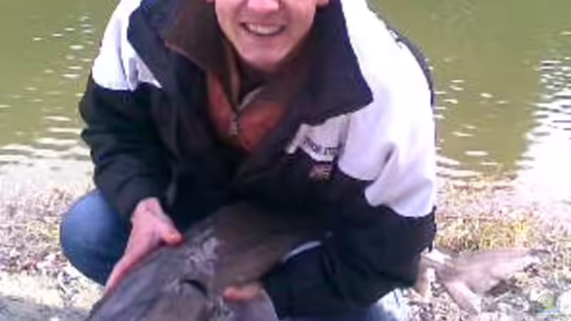 Userbild von tomtirol von tomtirol (15)