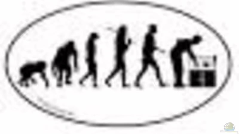 Userbild von tomwu von tomwu (54)