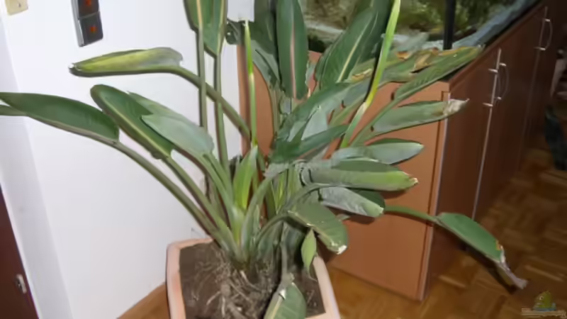 Userbild von Torsten Dau von Torsten Dau (14)