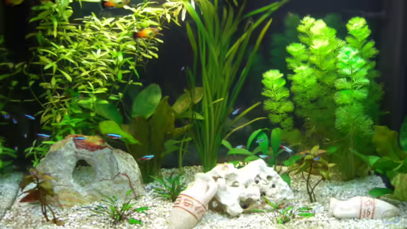 Userbild von u995u von u995u (2)