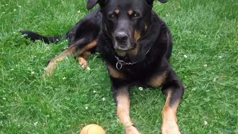 Userbild von Udo Müller von Udo Müller (41)