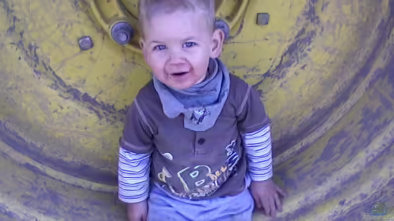 Userbild von Ulf von Ulf (8)