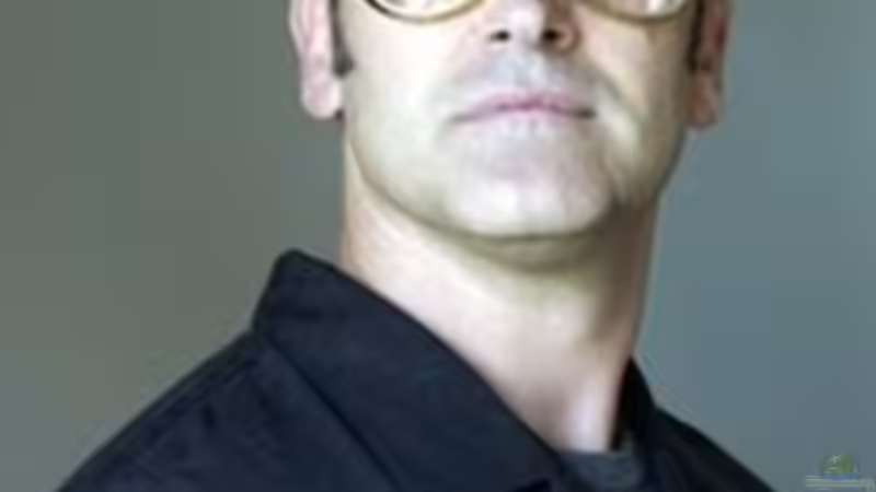 Userbild von various77 von various77 (11)