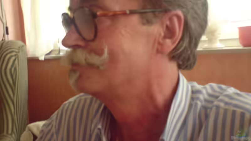 Userbild von Vito von Vito (24)