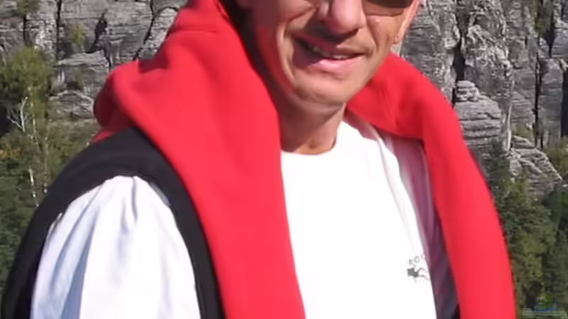 Userbild von Volker Alms von Volker Alms (64)