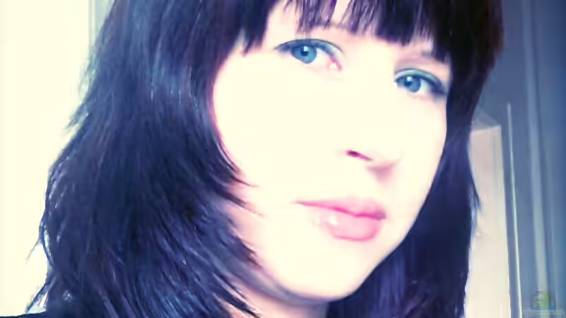 Userbild von Wensday von Wensday (12)