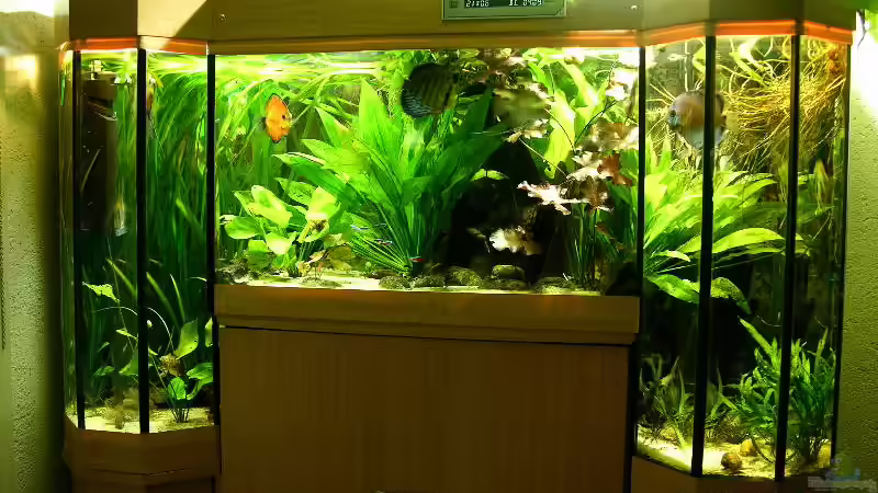 Userbild von Werner Buntin von Werner Buntin (17)