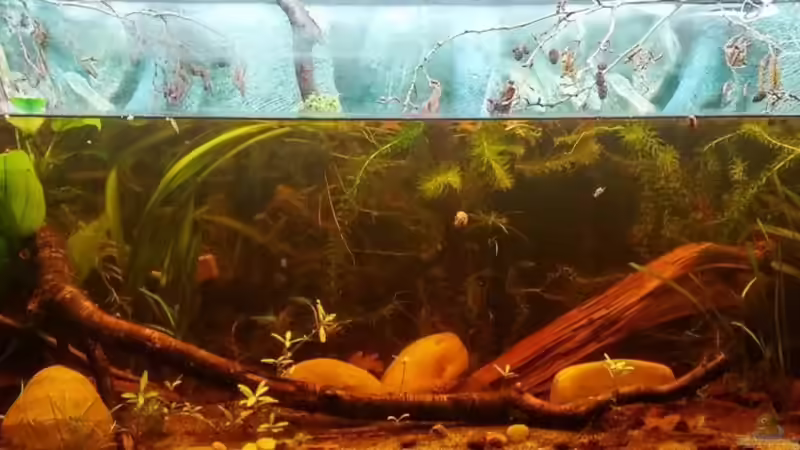 Userbild von wid von wid (21)